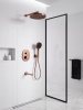 Ricco 040310 BC int