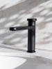Ricco 0162 MB int