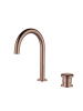 Ricco 010910 BC-1