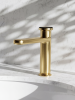 Ricco 0163 BG int