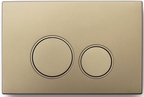 005E(Champagne Gold)2